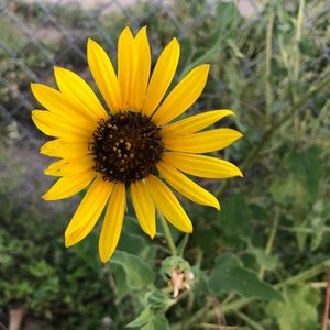 Meet your Posher, Cassandra